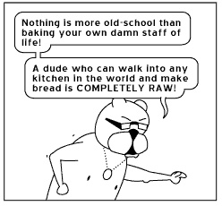 Ray tells it like it is.  (From Achewood by the inimitable Chris Onstad.  Go read the whole goddamn thing.)